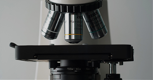 廠(chǎng)房設(shè)備